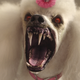 Image for article titled Your Kids Will Love Goosebumps (and You'll Be Okay With It)